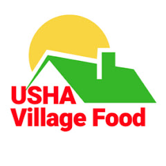 USHA Village Food net worth
