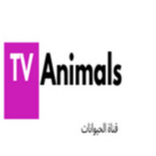 قناة الحيوانات tv Animals