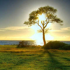 ზურა კახიძე