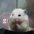 @인개-n4t