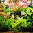 @kolactron Avatar