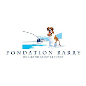 Fondation Barry
