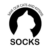 Save Our Cats and Kittens Shelter