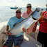 bR3R--aAukg-channel-avatar-RedfishRoss