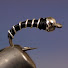 cmEBAXzYMD0-channel-avatar-tightlinevideo