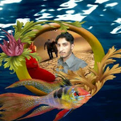 Khaliq Tanha