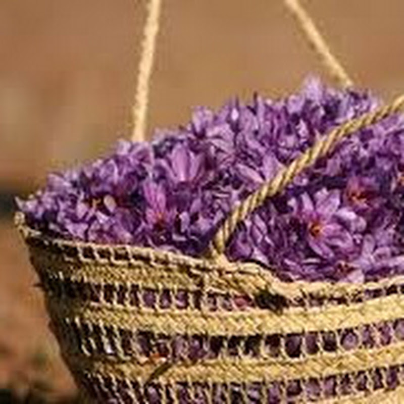 Noorhan Saffron