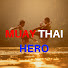 6HlM2Vgtkvc-channel-avatar-MUAY THAI HERO