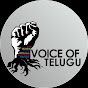 Voice Of Telugu logo