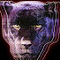 tOkZ8jqAwRw-channel-avatar-Kama