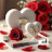 @maksudkhan3386