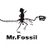 qit1ZWD3nxw-channel-avatar-Mr. Fossil 化石先生