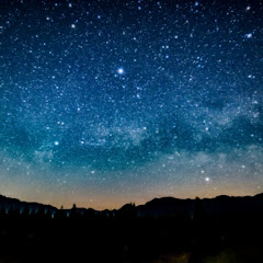 おっしーちゅうそん