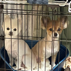 水金沓すいきんくつ