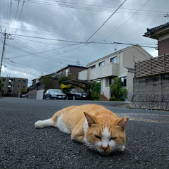 じゅんピーの町 junpie's town