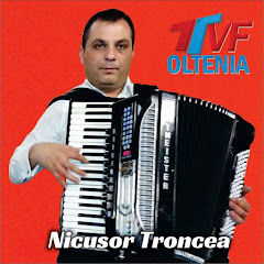 Nicusor Troncea Official channel logo