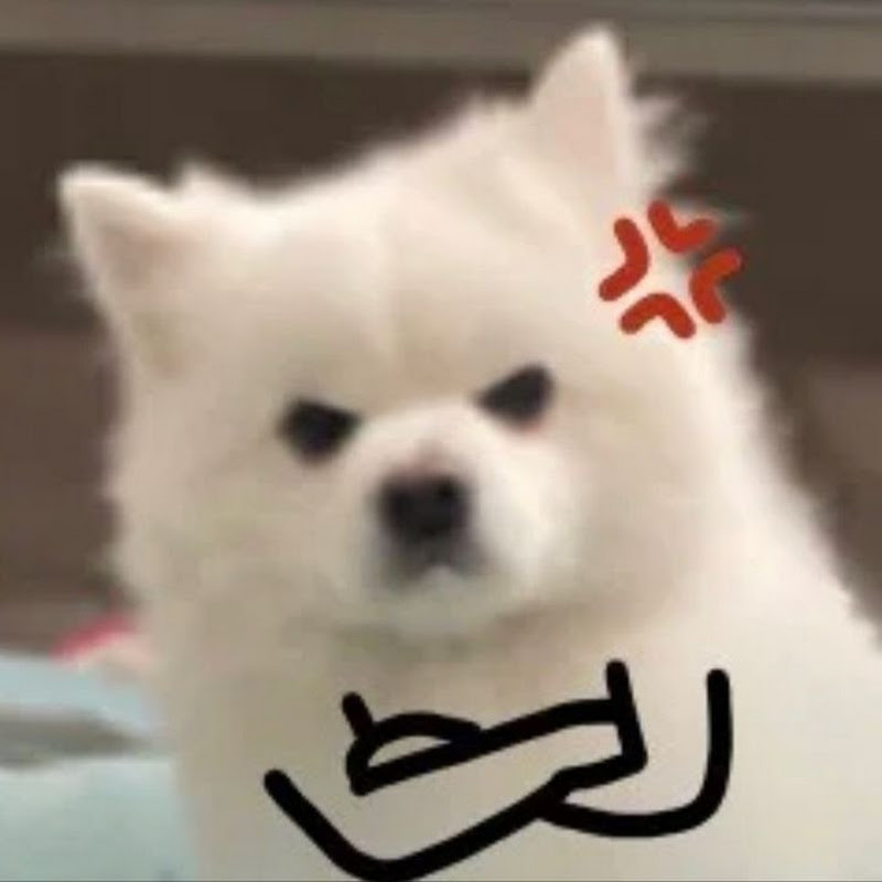 Channel Avatar