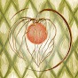 Physalis Vegan logo