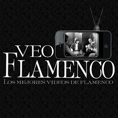 Veo Flamenco net worth