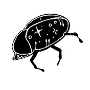 Enchanted Bug