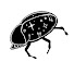 58SMGDv61hk-channel-avatar-Enchanted Bug