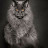@lioncat2457 Avatar