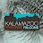 Kalamazoo Falcon Cam
