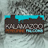 Kalamazoo Falcon Cam