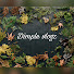 gGLp0XwQ4d8-channel-avatar-dimple vlogz