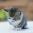 @ahmtatlgn20 Avatar