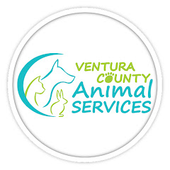 VenturaCounty AnimalServices Avatar