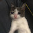 @Krn44077
