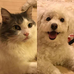 ごきげんとふきげんアイコン画像