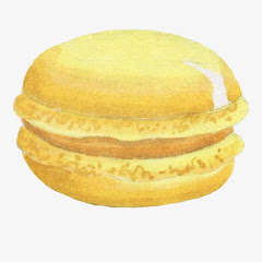macaron 6