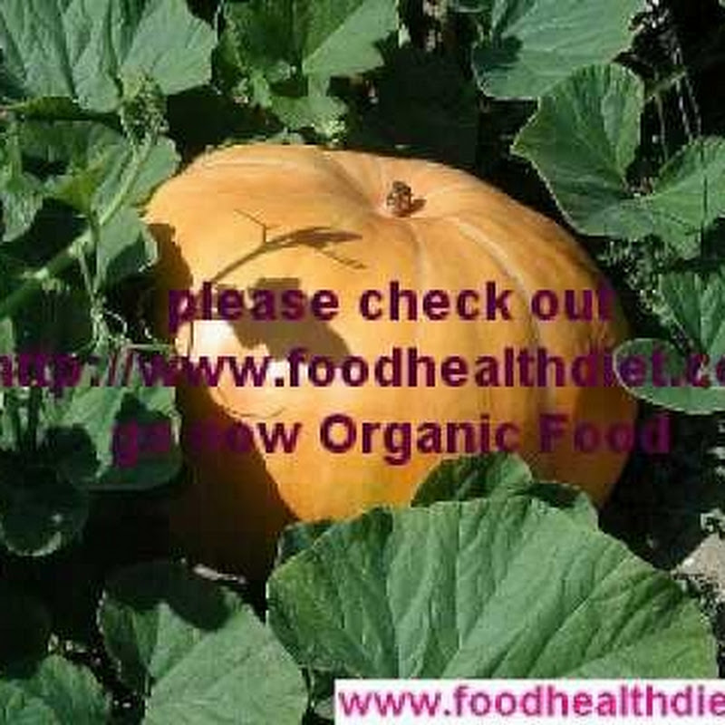 foodhealthdiet