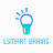 Esmart Brains