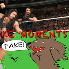 WWE - fake moments net worth