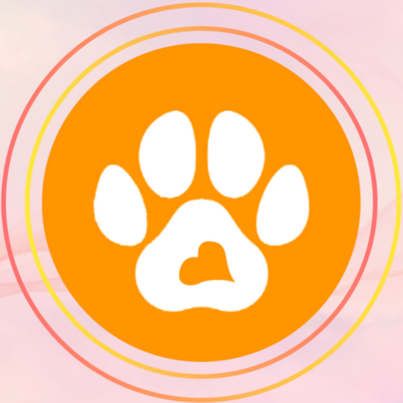 Онлайн-журнал о домашних животных Logo