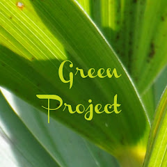 Green Project Studio