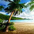 -bexCCrgWCM-channel-avatar-Coconut Tree