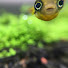 xAjz1VzAKlk-channel-avatar-JulianAquatics