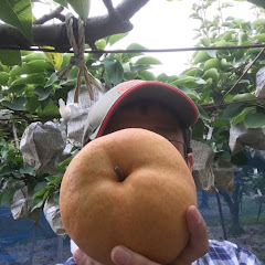 kura kuraアイコン画像