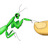 SqZwanl7zyU-channel-avatar-Arthropod Ambassadors