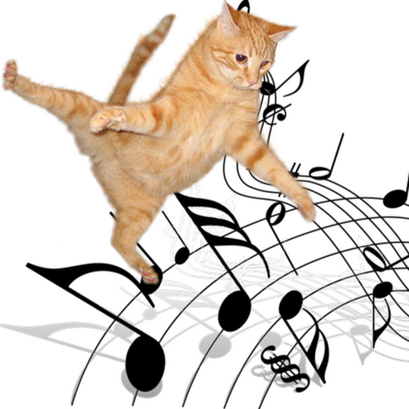 Cat piano tutorials