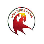 RAM BIRDS FARM