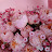 @하루하루-d2i