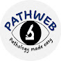 Pathweb Teacher