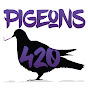 Pigeons 420