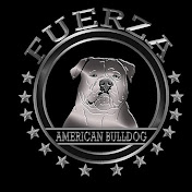 Fuerza American bulldogs