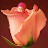 @mmadhoo4465's avatar
